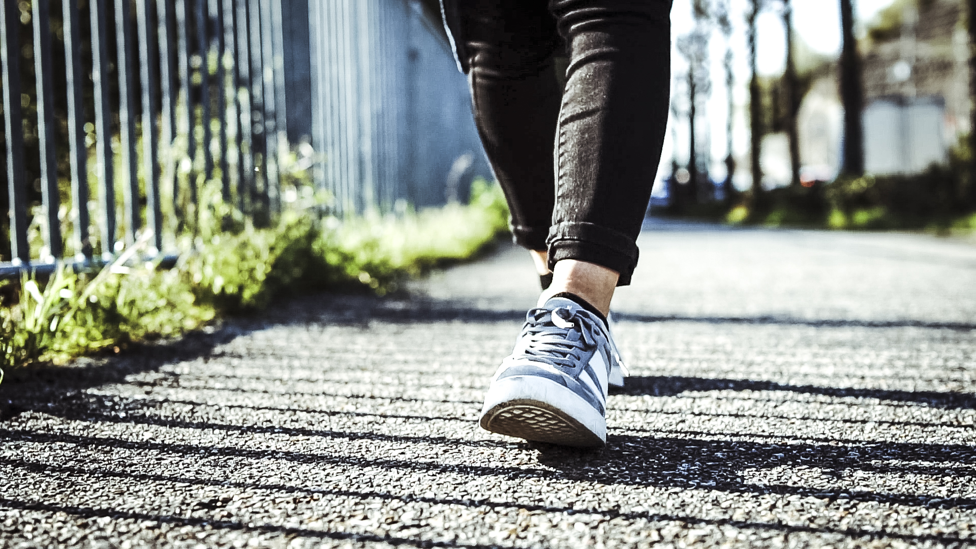 東北オクタゴンウォーク 東北オクタゴンウォーク